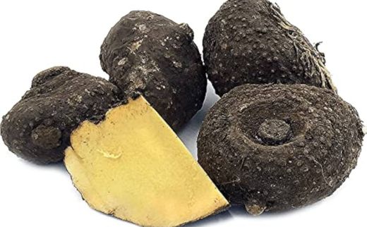 Suran (Elephant Foot Yam)